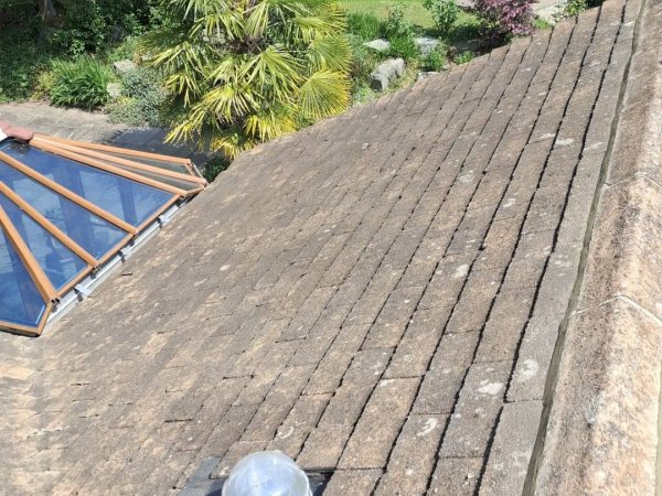 Moss Magician Roofing