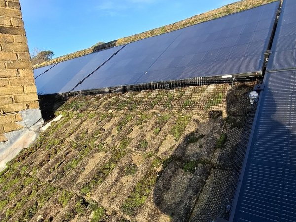 Moss Magician Roofing