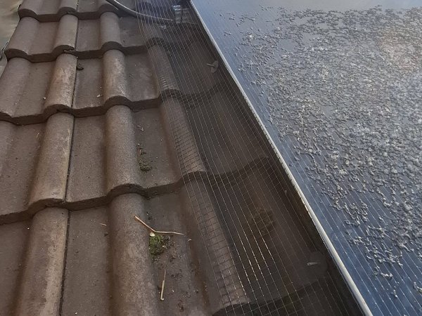 Moss Magician Roofing